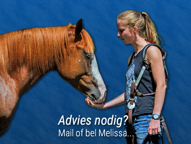 Advies nodig?